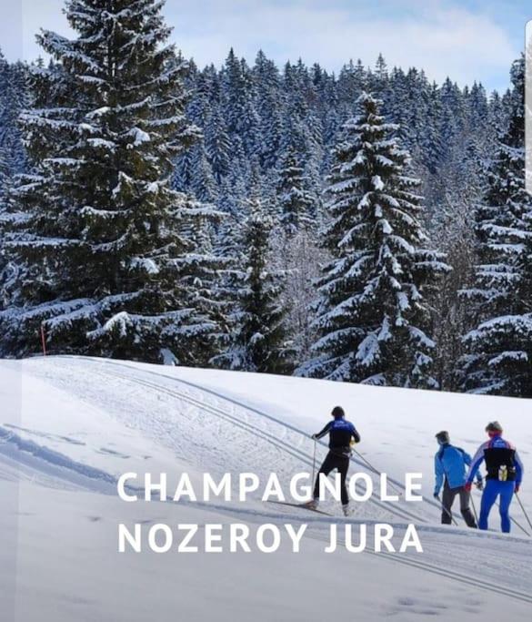 Gite Jura Mina Chalet Au Milieu De La Nature Villa Ney Dış mekan fotoğraf
