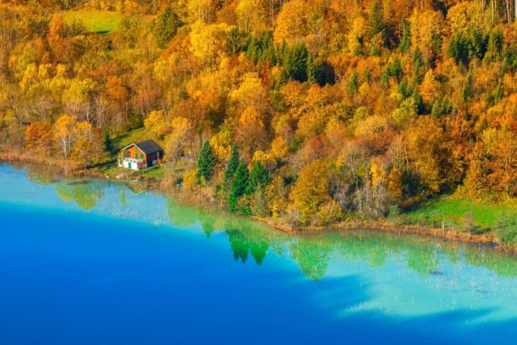 Gite Jura Mina Chalet Au Milieu De La Nature Villa Ney Dış mekan fotoğraf